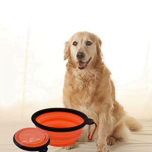 Collapsible Silicone Pets Bowl: BPA-Free Travel Feeding Dish