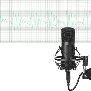 Professional Microphone Set for Crystal Clear Audio Recording - Best Quality Microphones for Studio and Live Performances